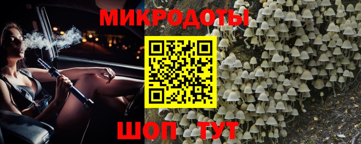 Галлюциногенные грибы Psilocybe Северобайкальск